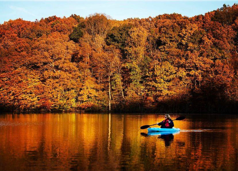 Top 5 Lancaster PA Getaways Made for Fall Foliage Lovers