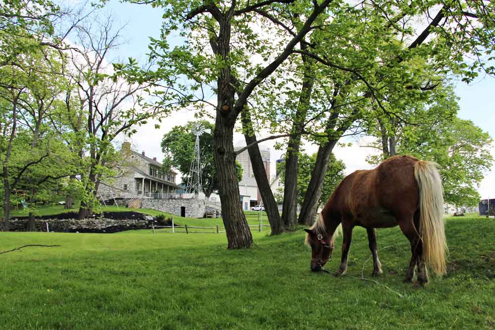 Family-Friendly Farm Stay B&Bs in Lancaster, PA You’ll Love